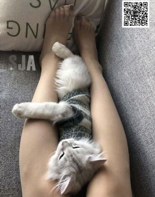 国产午夜精品久久一区二区_1080P在线视频播放