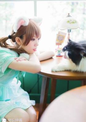 手机看免费日韩综艺视频_剧情片在线手机播放