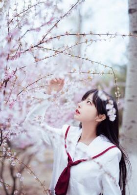 91久久精品视频_BD在线播放